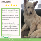 Augentropfen für Tiere - Kolloidales Silber