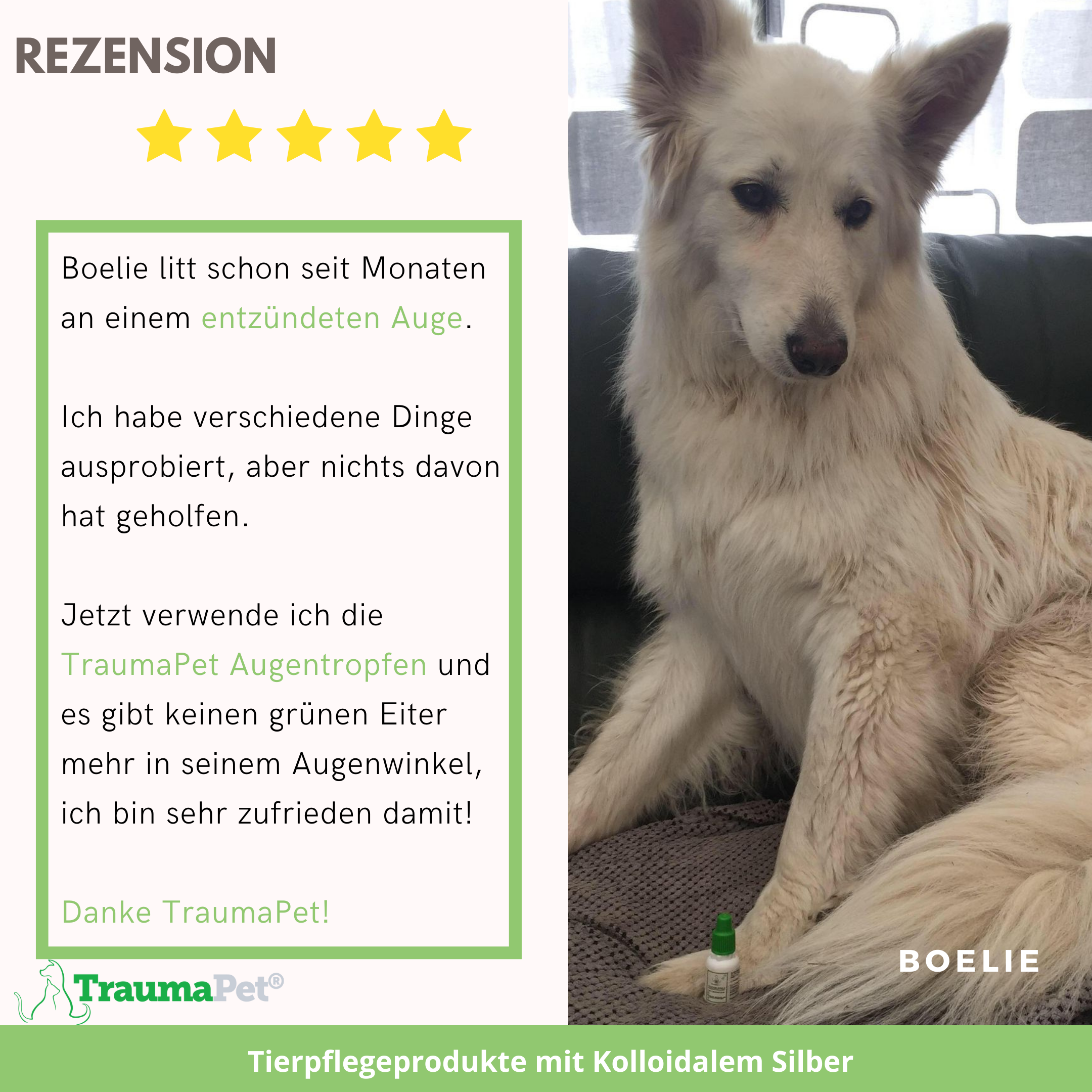 Augentropfen für Tiere - Kolloidales Silber